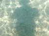 DSCN0019
