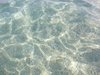 DSCN0020