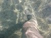 DSCN0021