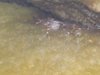 DSCN0075