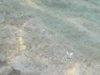 DSCN0071