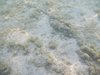 DSCN0053