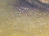 DSCN0074