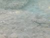 DSCN0072