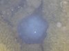 DSCN0076
