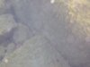 DSCN0077