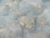 DSCN0051