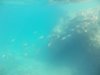 DSCN0103