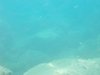 DSCN0135
