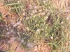 DSCN0182