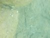 DSCN0130