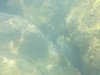 DSCN0134