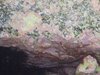 DSCN0237