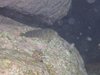 DSCN0232