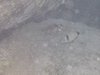 DSCN0260