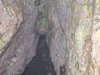 DSCN0231