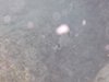 DSCN0254