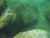 DSCN0272