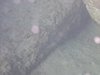 DSCN0265