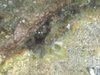 DSCN0285
