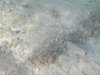DSCN0261