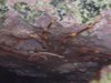 DSCN0238