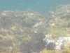 DSCN0228