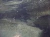 DSCN0242