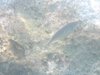DSCN0253