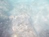 DSCN0245