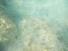DSCN0247