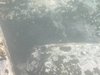 DSCN0276