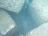 DSCN0267