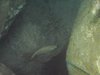 DSCN0264
