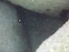 DSCN0249