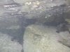 DSCN0244