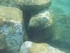 DSCN0271