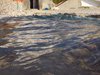 DSCN0223