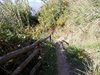 DSCN0318