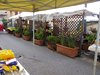 DSCN0683