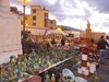 DSCN0793
