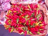 DSCN0721