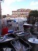 DSCN0681