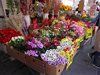 DSCN0741