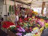 DSCN0742