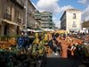 DSCN0707