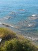 DSCN4145