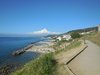 DSCN4142