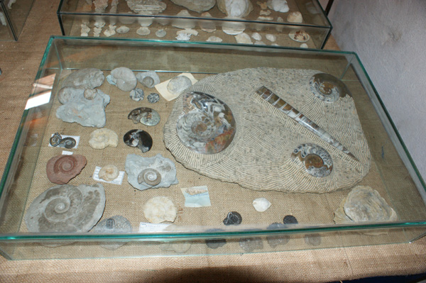 DSC05147