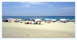 Colamaio (22)